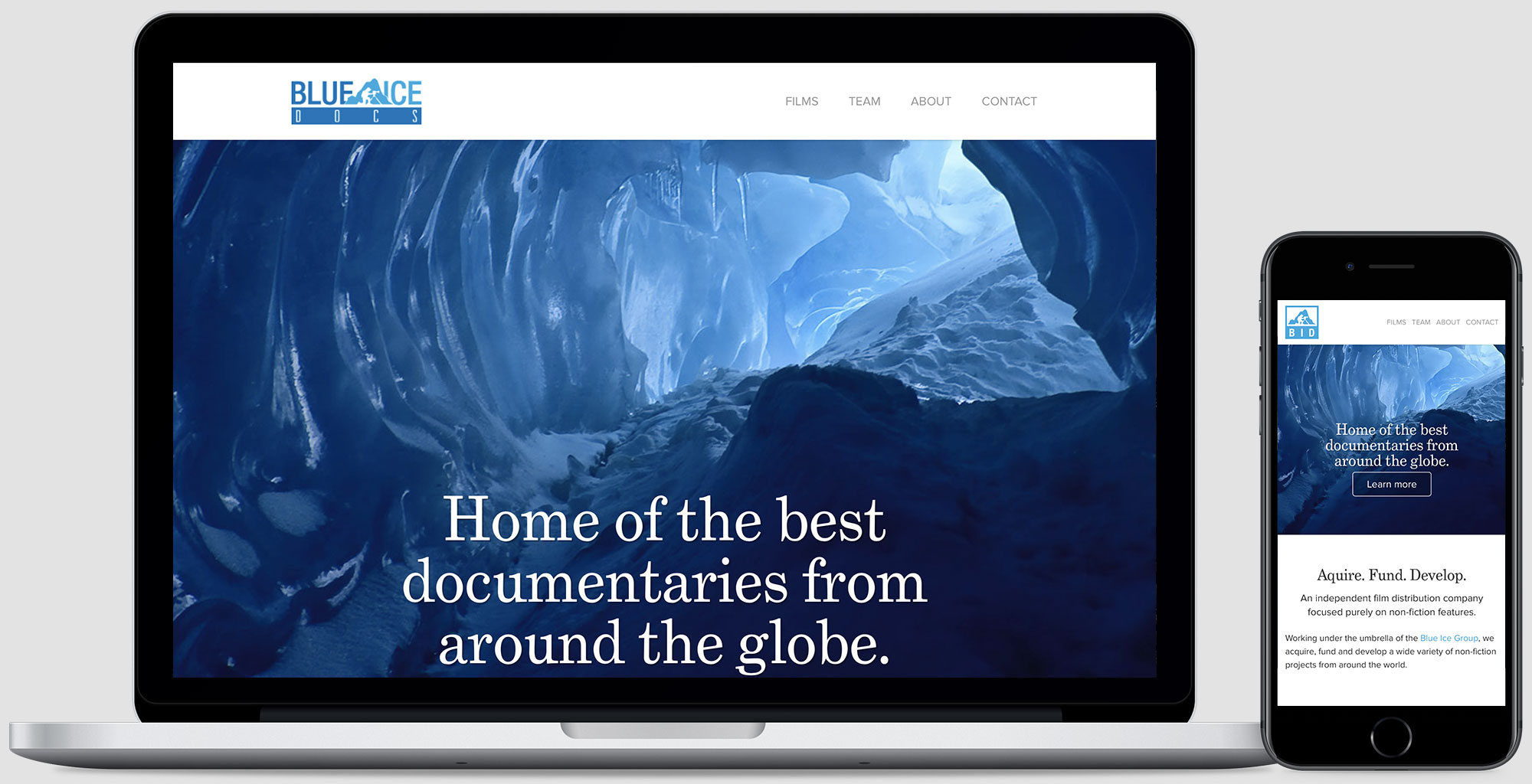 Blue Ice Docs homepage on a MacBook Pro and iPhone
